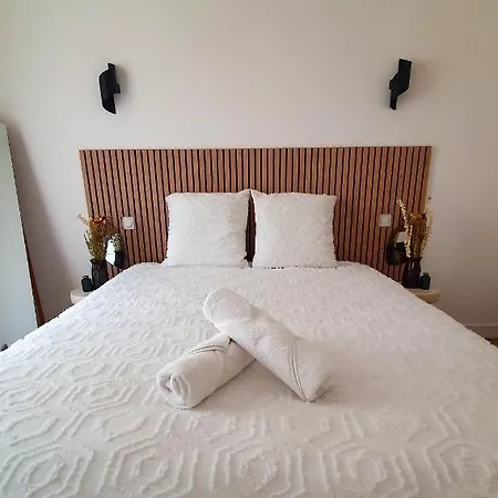 Au Calme T3 Rdc - Quartier De France * ヴィシー