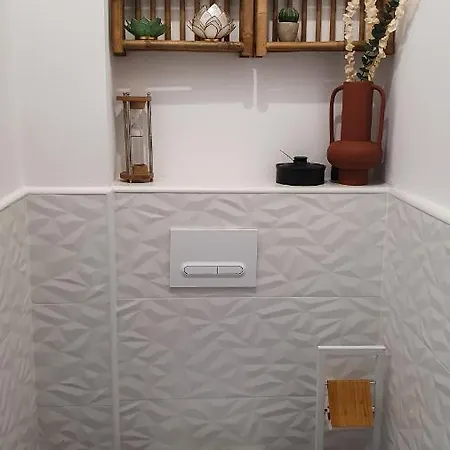 Au Calme T3 Rdc - Quartier De France Lejlighed Vichy